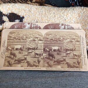 Bird's eye view great Union stockyard Chicago 1902 Stereoview Underwood